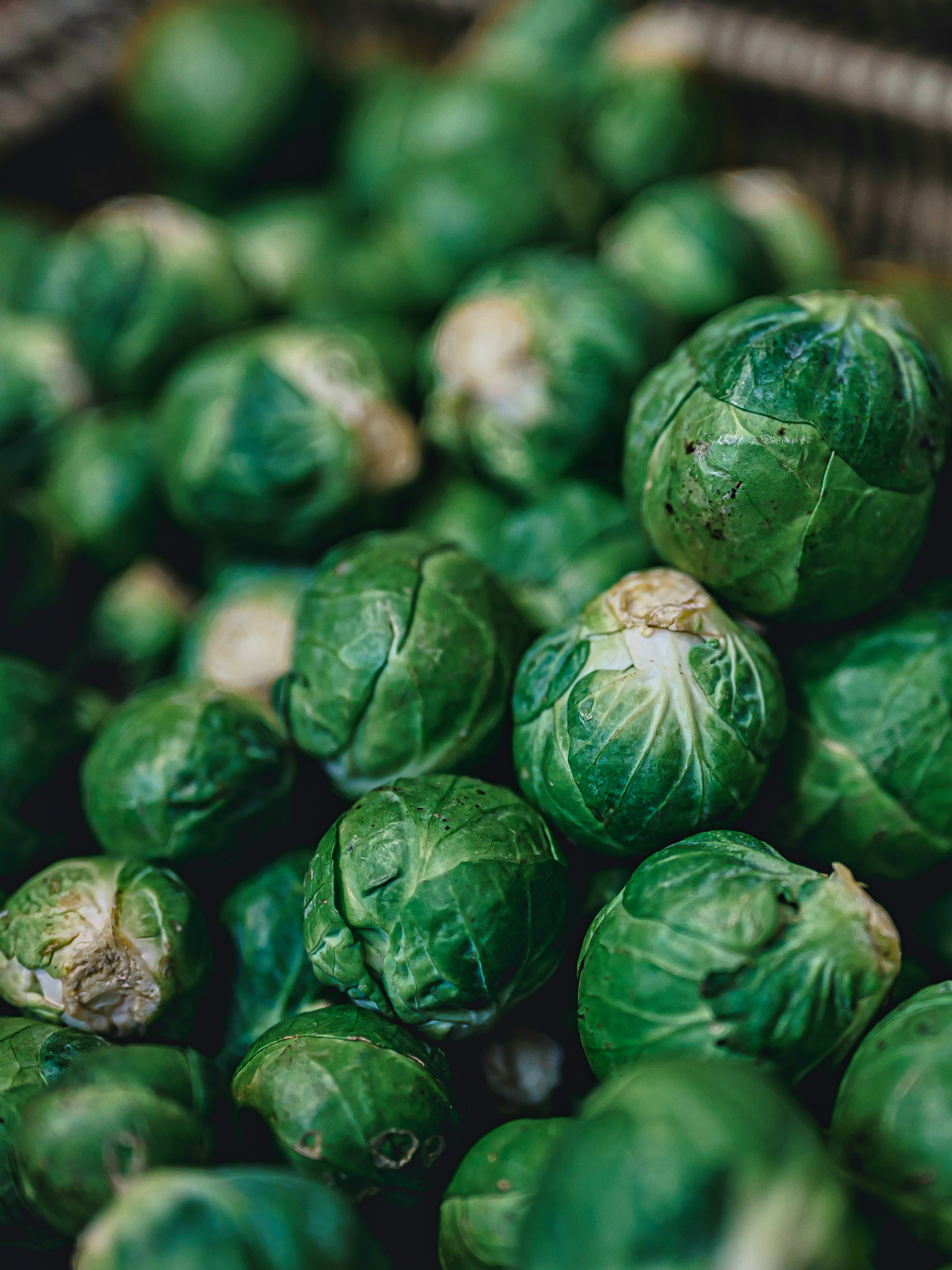 Brussels Sprouts