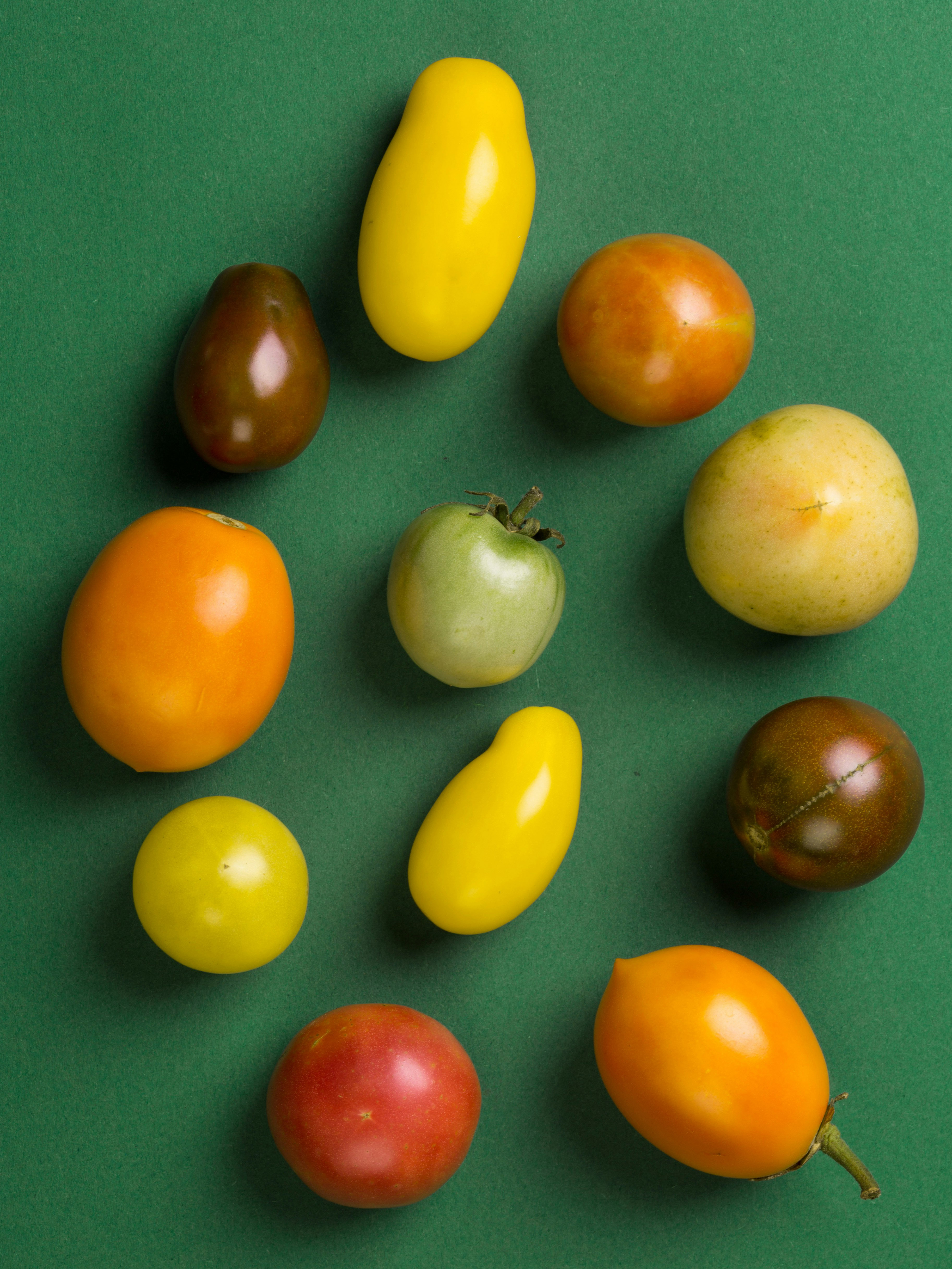 Rainbow Cherry Tomatoes