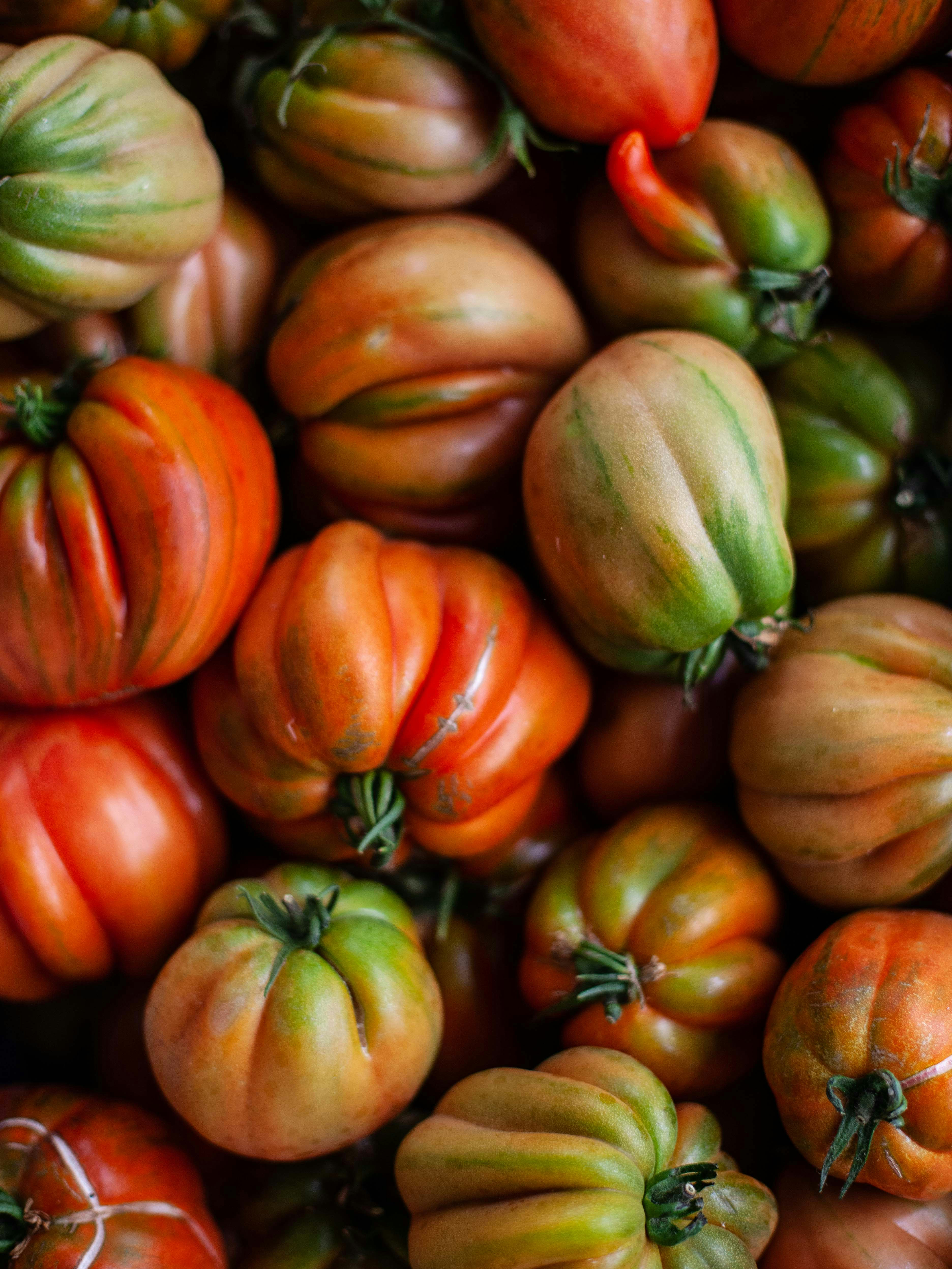 Mixed Heirloom Tomatoes
