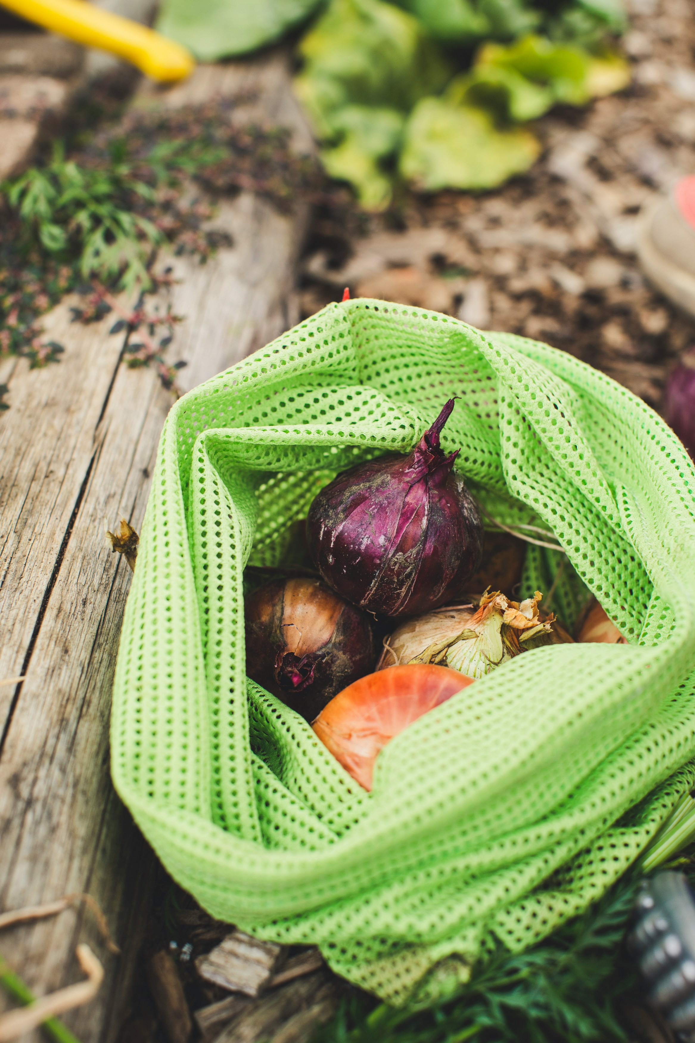 Bag of Onions