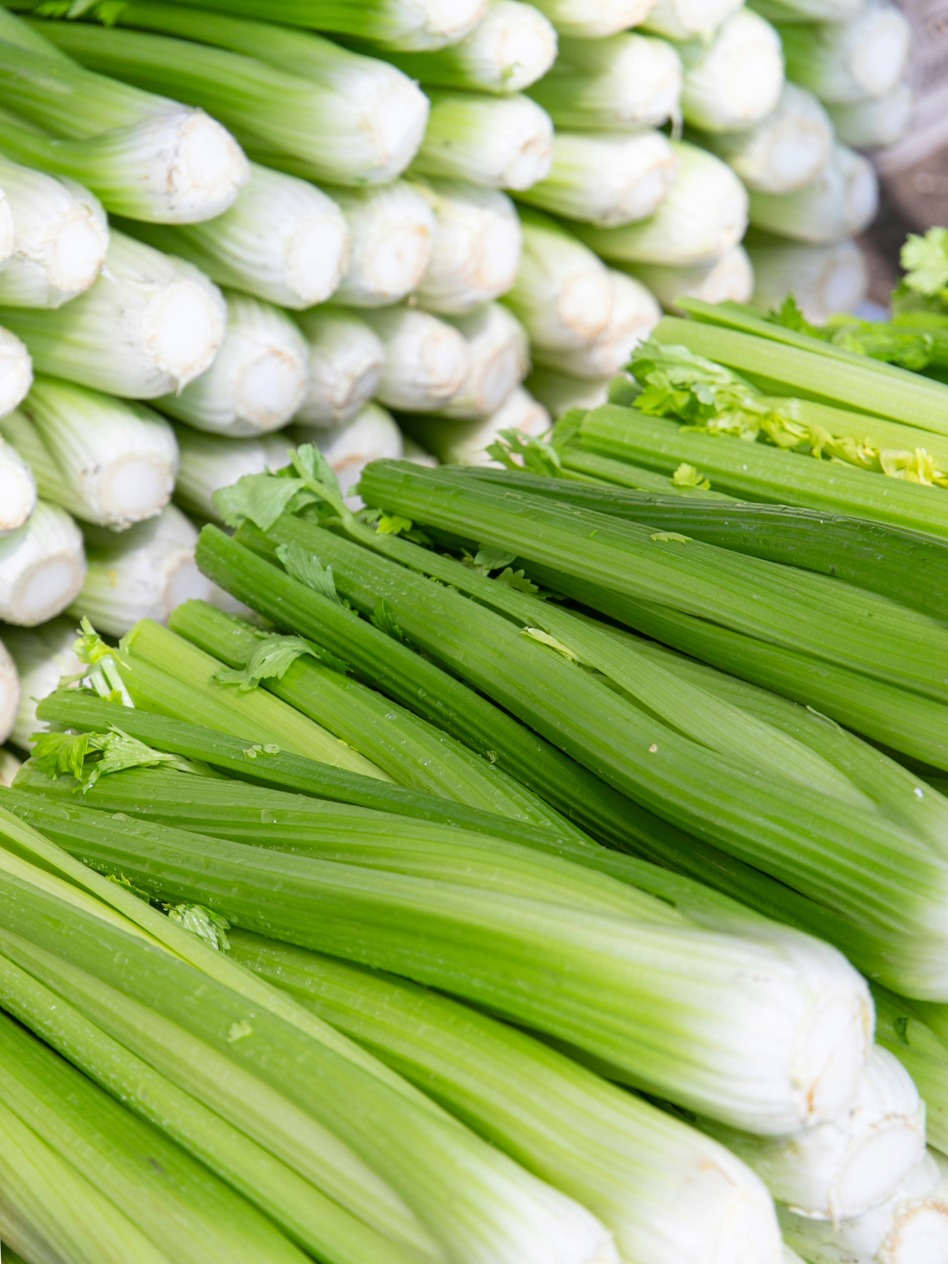 Celery