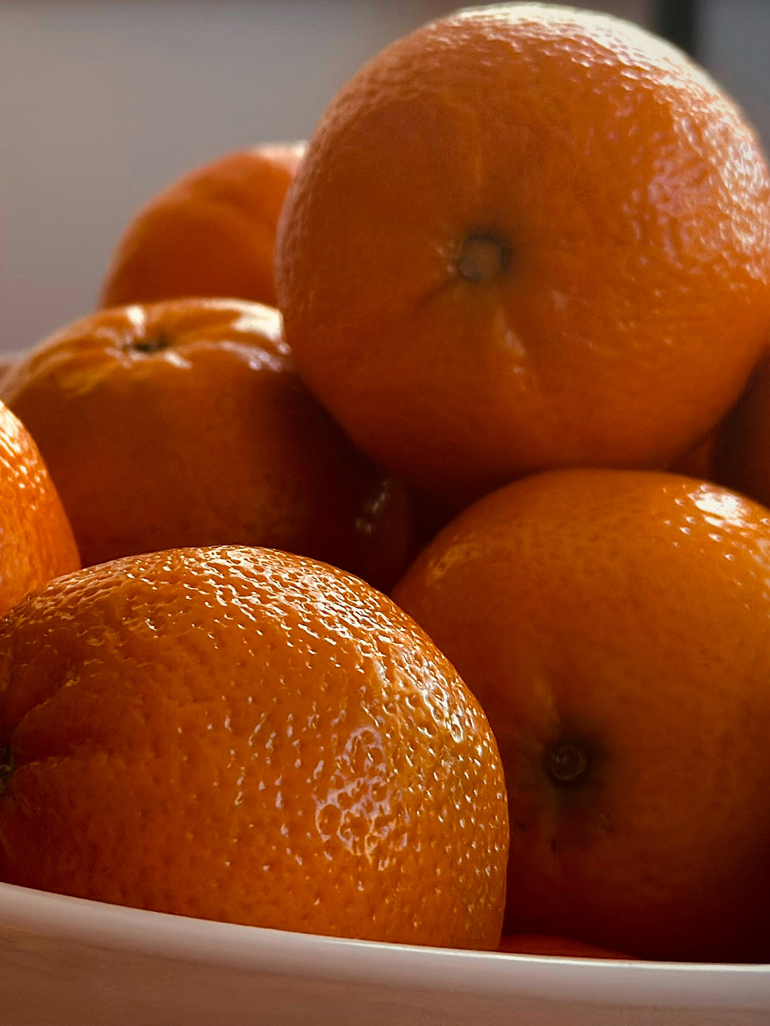 Navel Oranges
