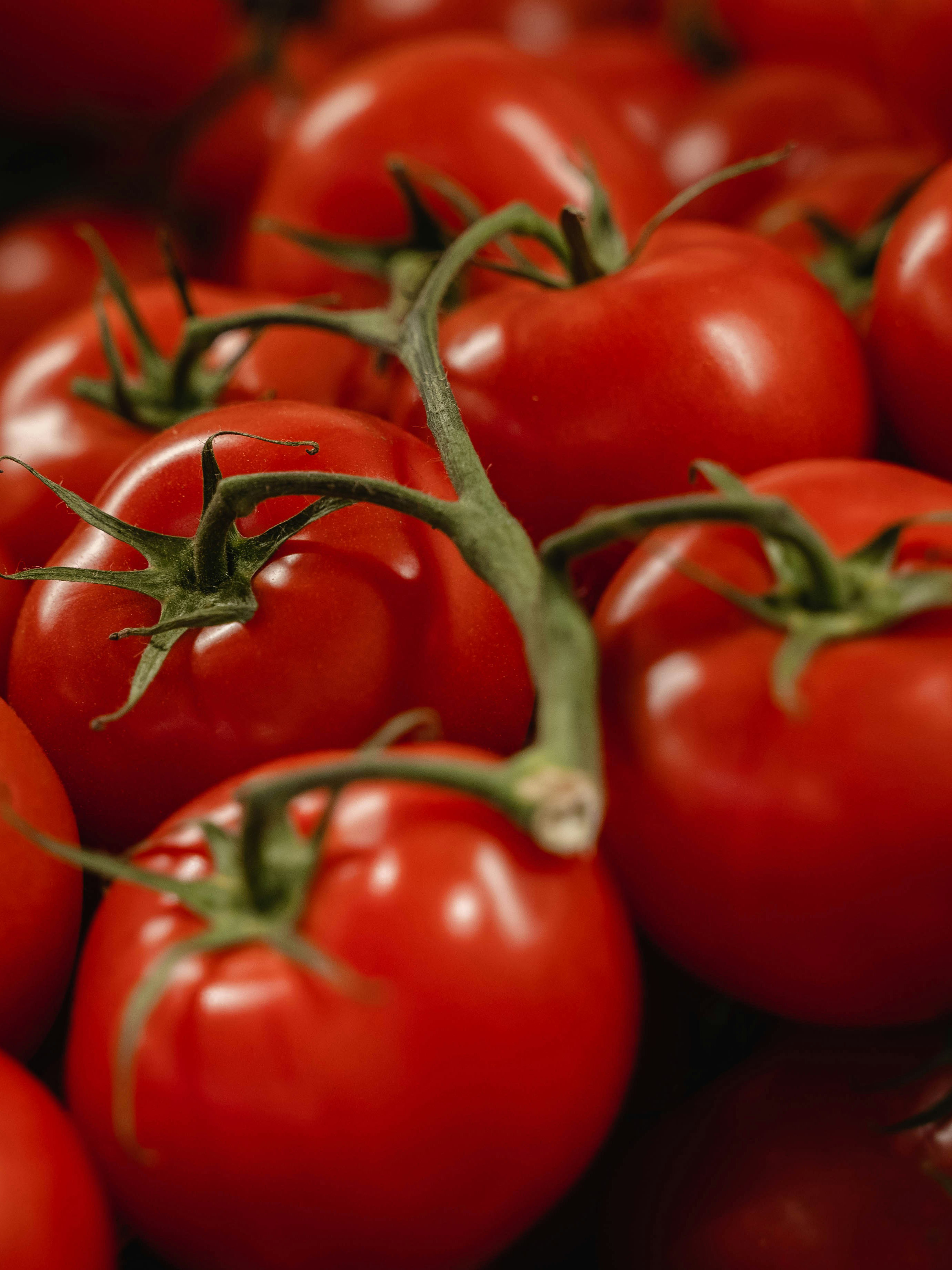 Cluster Tomatoes
