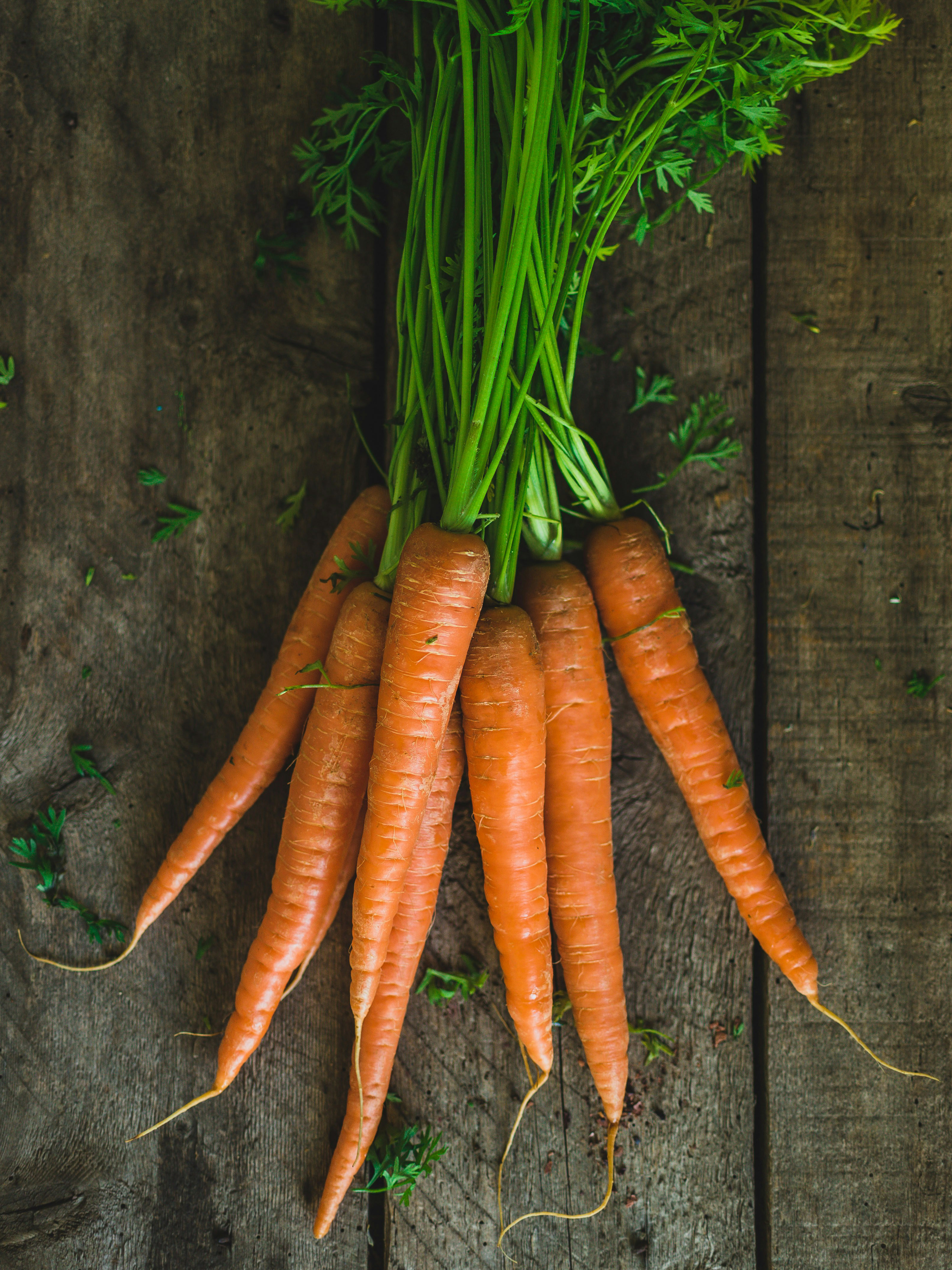 Bunched Carrots