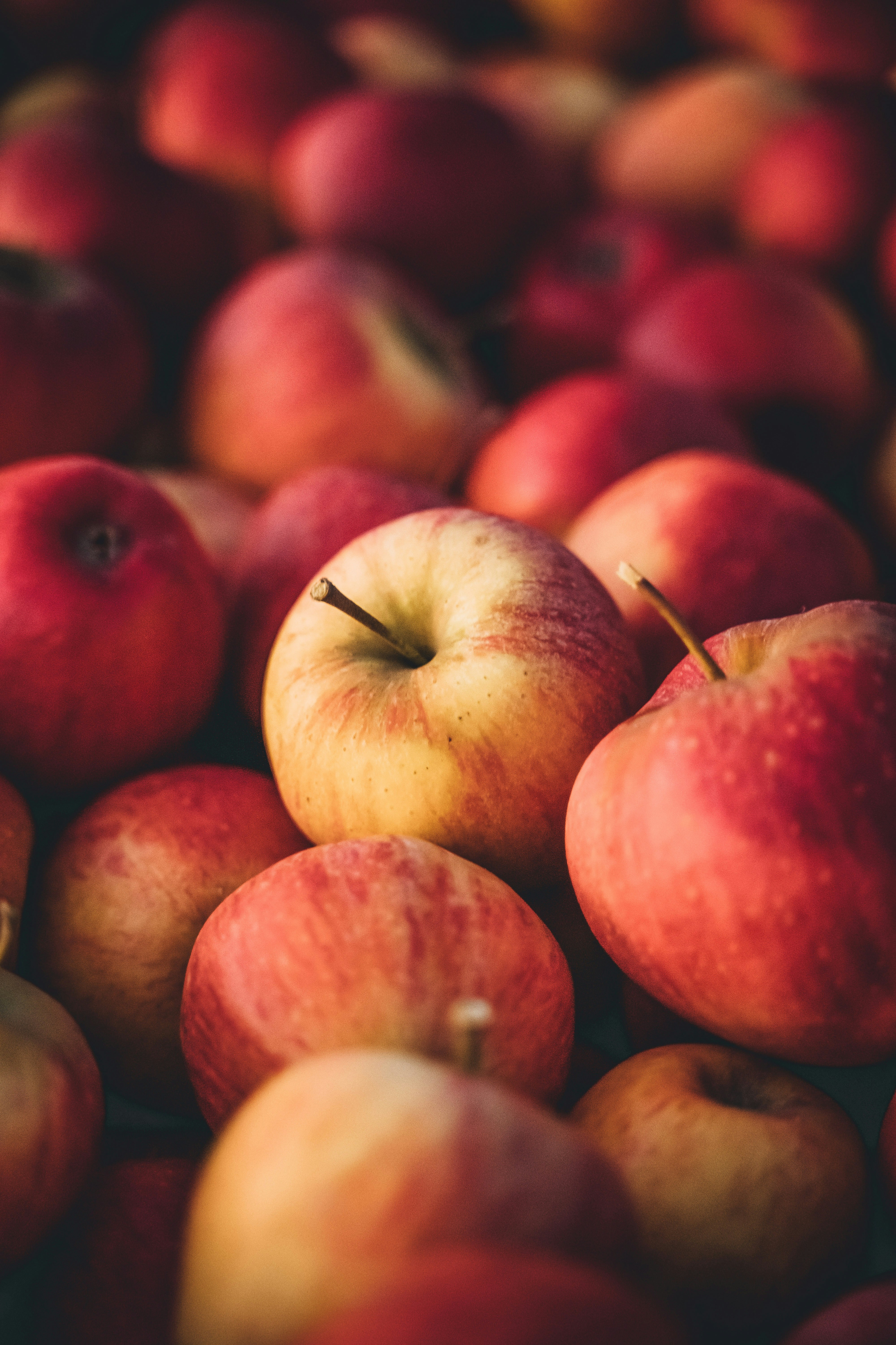 Fuji Apples